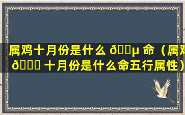 属鸡十月份是什么 🌵 命（属鸡 🐈 十月份是什么命五行属性）